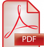 PDF