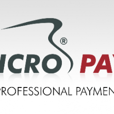 Micro Payment